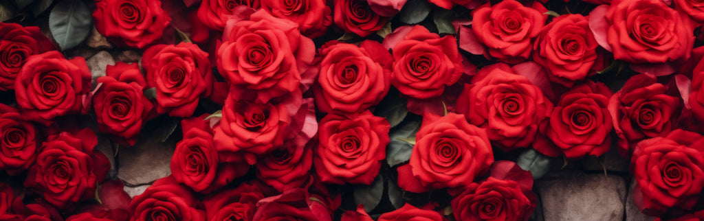 Valentine’s Day Gift Combos in Karachi: Flowers, Chocolates & Teddy Bears That Wow