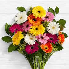 Colorful Gerbera Flower Bouquet